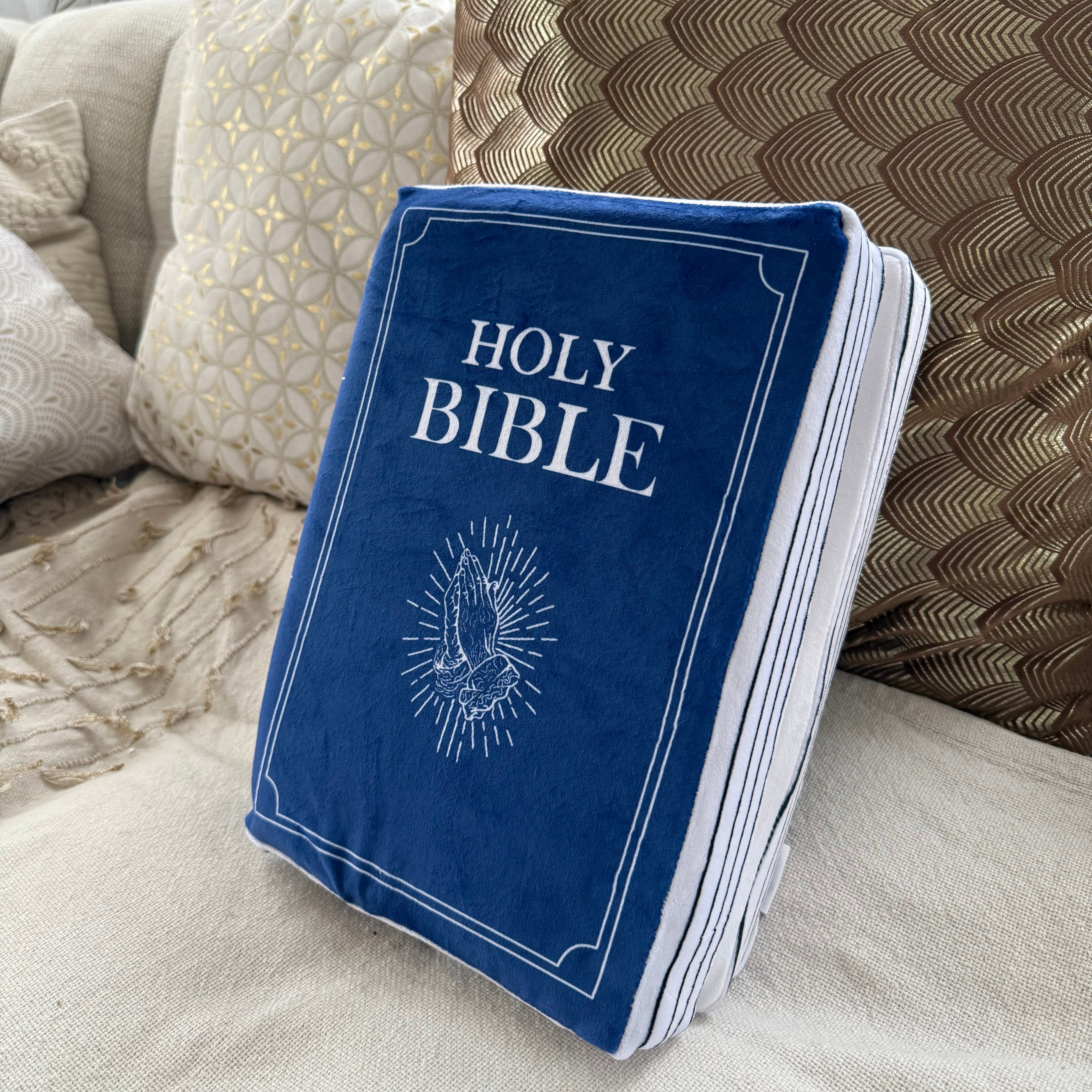 Coussin Bible Bleu